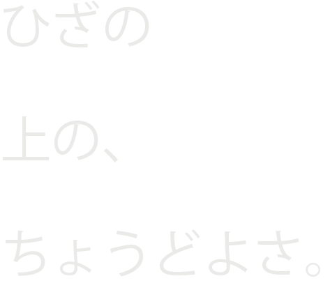 ひざのうえのちょうどよさ