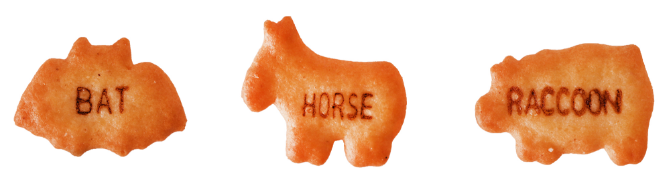 ビスケット画像