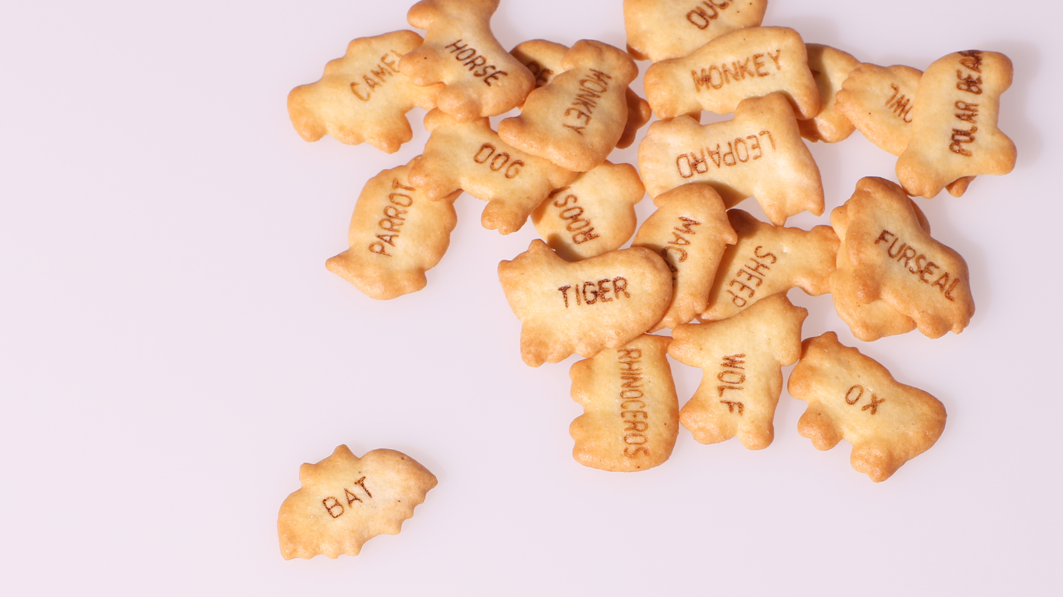 ビスケットバラバラ